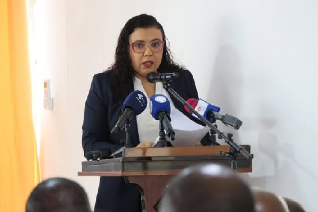 “As reformas foram feitas com um único propósito de engrandecer as Forças Armadas” – Janine Lélis